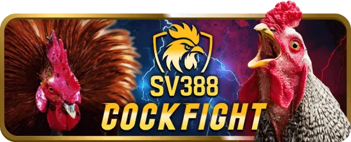 Tham gia chương trình VIP v9bet88 link mới